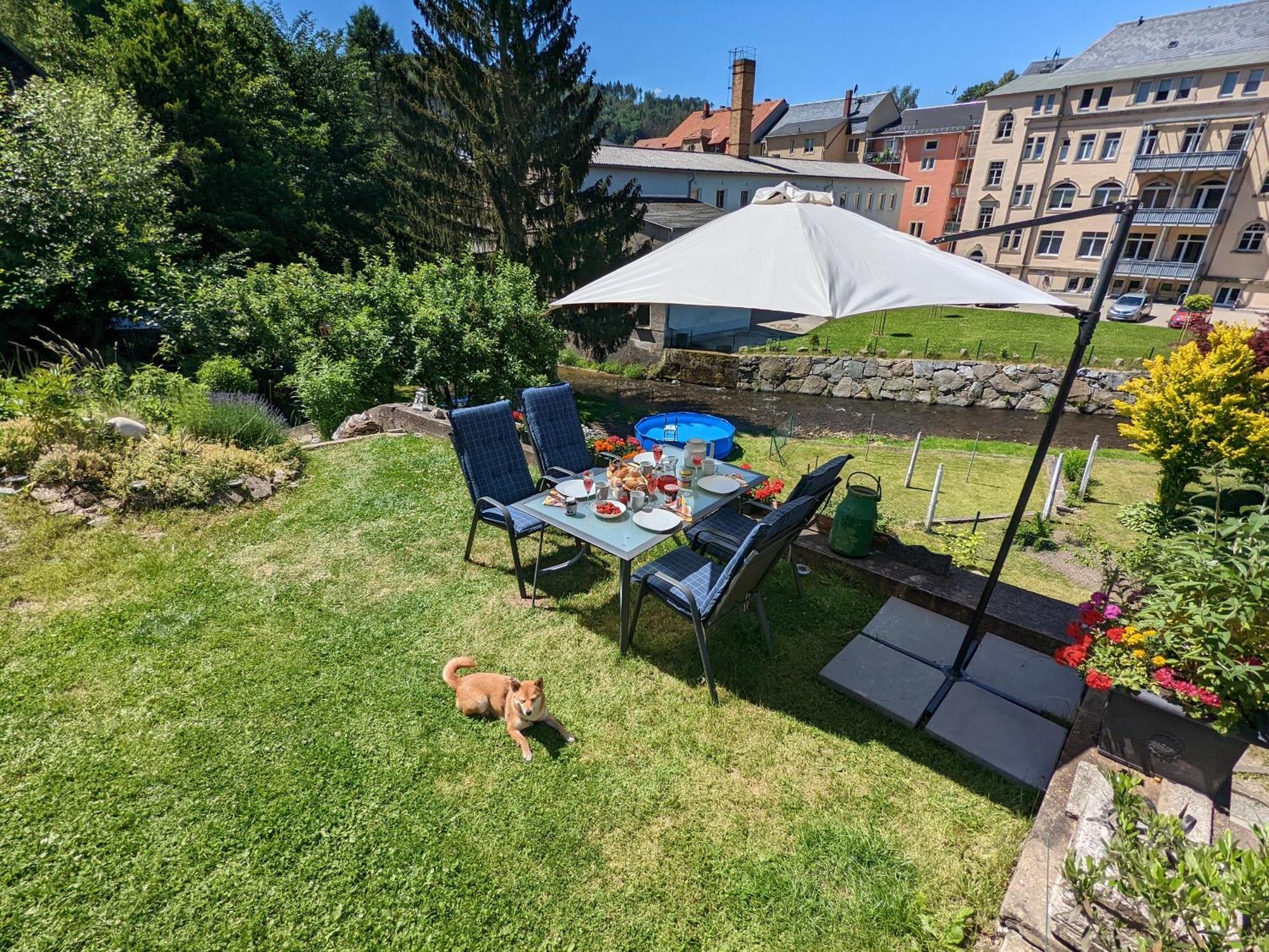 F1 - Urlaubsmagie - Helle Wohnung Mit Sauna & Pool & Whirlpool Sebnitz Exterior photo