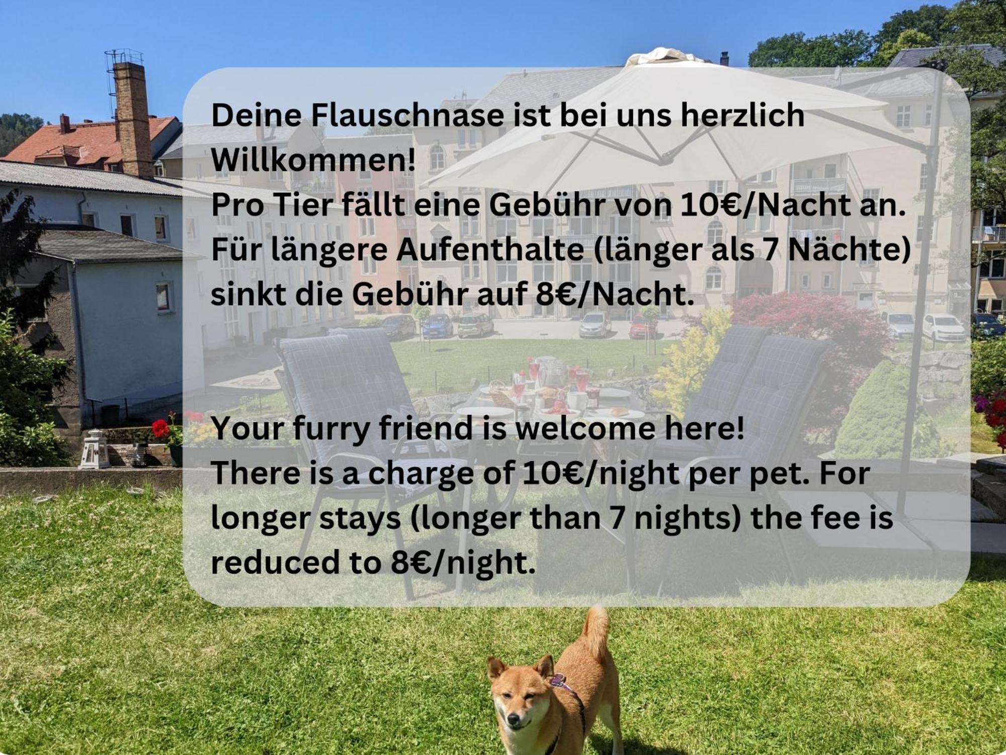 F1 - Urlaubsmagie - Helle Wohnung Mit Sauna & Pool & Whirlpool Sebnitz Exterior photo